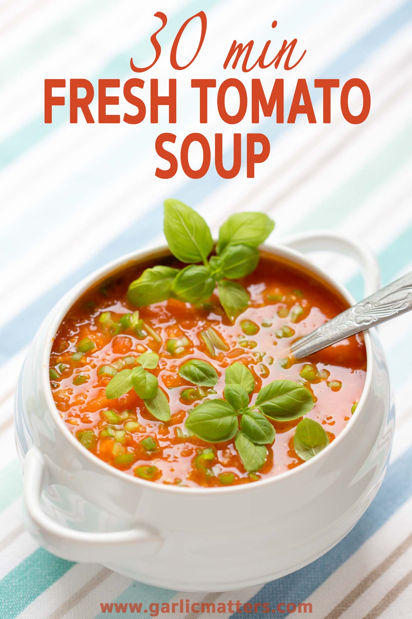 30 min FRESH TOMATO SOUP RECIPE | GARLIC MATTERS
