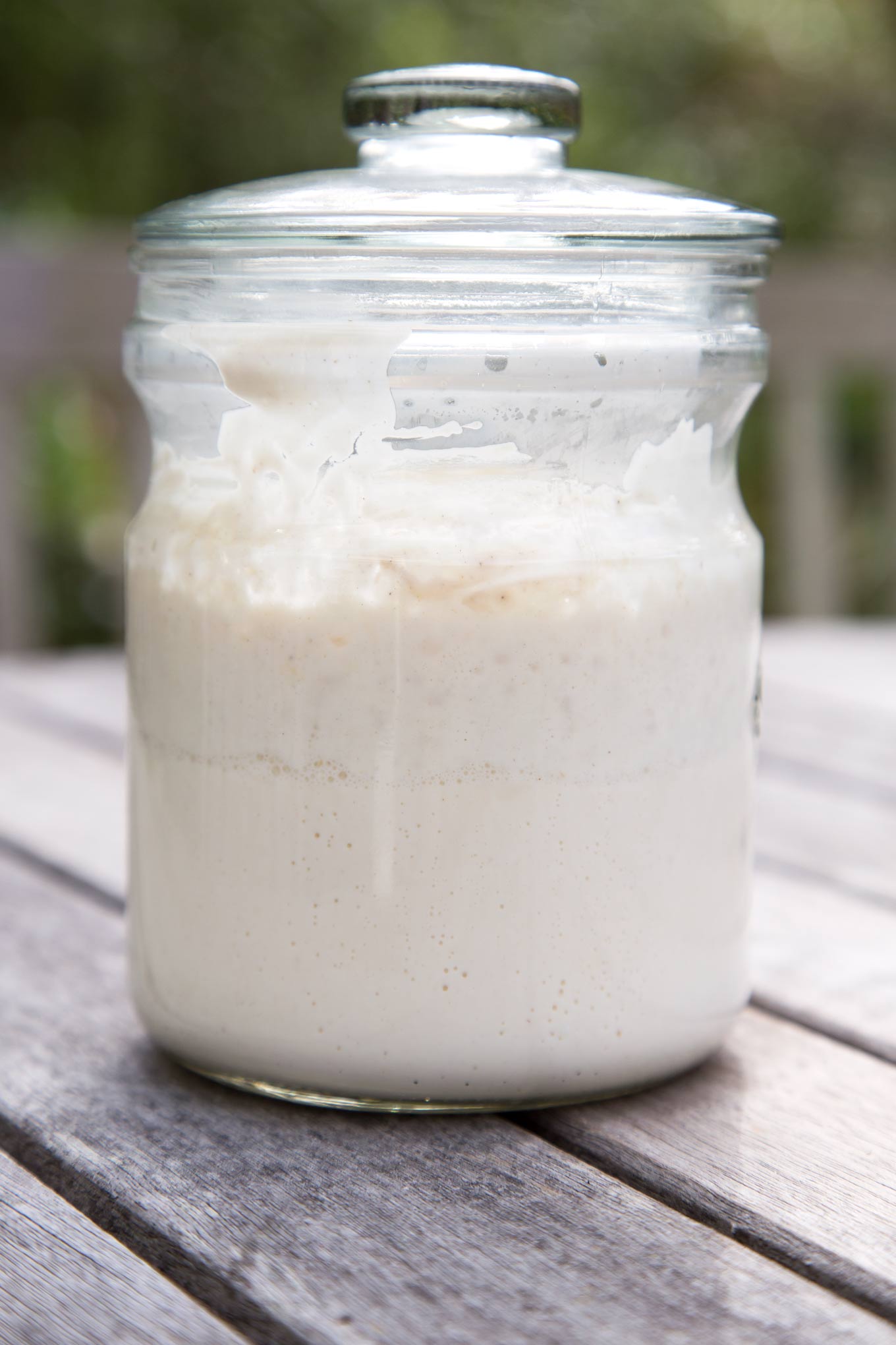 HOW TO MAKE AND KEEP SOURDOUGH STARTER | GARLIC MATTERS